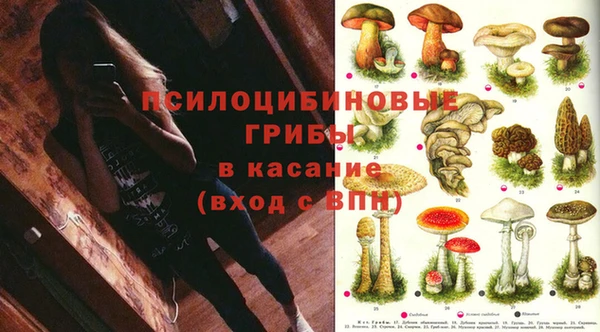 а пвп мука Касимов