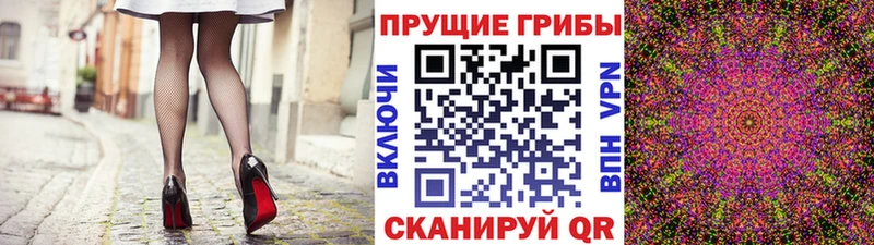 Псилоцибиновые грибы Cubensis  закладки  Берёзовка 